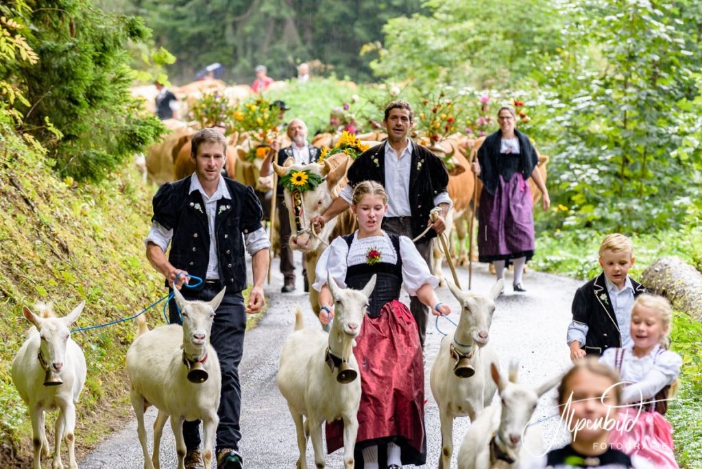 Kulturelle Entdeckungsreisen in den Alpen